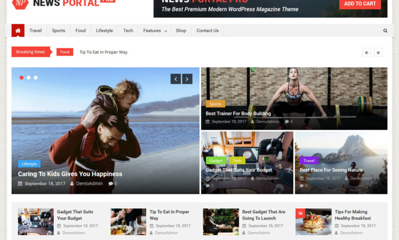 News Portal Themes